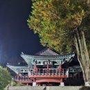 죽도봉공원 | 산책하기 좋은 순천 죽도봉 공원 방문 후기