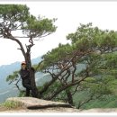 2011年 6月 6日(月) 속리산 국립공원내 미남봉, 토끼봉, 상학봉 묘봉 암릉산행 이미지