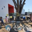 홍천 남산유치원 이미지