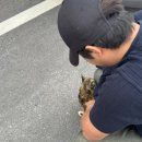 봉계4길 이미지