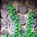 해여림식물원 이미지