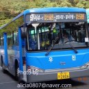 2012/9/7, 앞산공원 그리고 서재리에서... 이미지