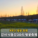 강서구청역 | 부산 강서 낙동강30리 벚꽃축제 후기 및 도시농업박람회 개막 시간 변경