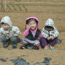 상빈농장 이미지