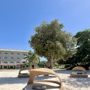 레몬비한라산리조트점 | [필리핀 보홀] 5성급 가성비 호텔 비그랜드리조트 리뷰 (조식, 수영장, 프라이빗비치, 부대시설)