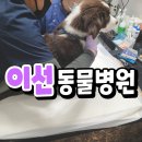 이선동물병원 이미지