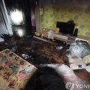 다오시오 이미지