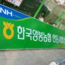 석교주유소 이미지