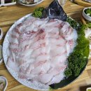 삼오칠회센타 | 제주 시내 누웨마루거리 맛집 :: 제주도민 횟집 삼오칠회센타 클래스가 다른 돌돔