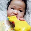 민콩콩
