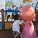 미즈컨테이너 김해신세계 이미지