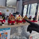 뿌리게스트하우스 이미지