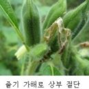윤종열농장 네이버블로그