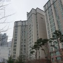 김포나진초교 이미지