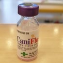 대현약국 이미지