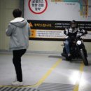 병아리라이더스 이미지