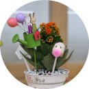 송라초 병설유치원 이미지