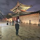 간선-64 | 창경궁 야간 물빛연화 공연 입장 시간 및 가격 주차 정보