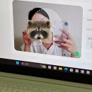 나래트레블 | 파라타 항공 타고 푸꾸옥 다녀온 후기