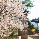 창경궁 홍화문 옆 이미지