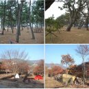 파스텔 야영장 이미지