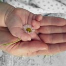 메리엘산부인과의원 이미지