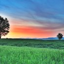 여명목장 이미지