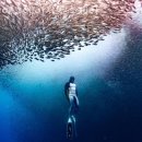 에스에이치케어 | 신림동헬스 에스에이치헬스케어 추천 위치 정보