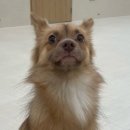 진주미소약국 | 첫 임신! 지금까지 겪었던 다사다난 초기 임신 일기(3주-4주)