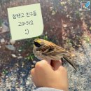 함백고등학교 이미지