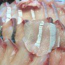 독산동우시장 | [독산동횟집] 현대회수산시장 : 우시장횟집 대방어 맛집 후기