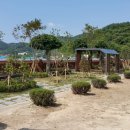 적량초등학교 이미지