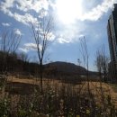 개포동월드 이미지