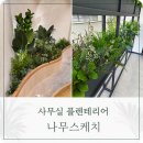 평택 고덕 사무실 플랜테리어 : 철재 칸막이 화단 실내조경 시공 후기