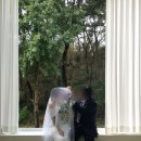 유성대로1689번길 | [예신로그] 3. 대전 셀프 웨딩촬영, 장소추천과 총비용 그리고 장단점