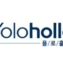 욜로홀로