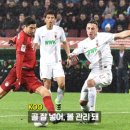 감탄 Daum카페