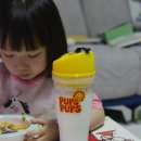 펍스 - 13212 | 펍스펍스 크런치컵 아침식사 출근템 시리얼컵 후기