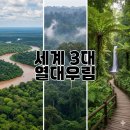 초월약초 | 세계 3대 열대우림 중 &#34;이곳&#34;이 가장 위험하지만 가장 신비로운 이유