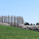 서산농장 이미지