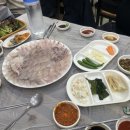포항 죽도시장 횟집 추천 신선한 농어,쥐치,매운탕 맛 후기
