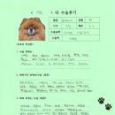 1480 | [#1480] 앙쥬(양측 고관절 대퇴골두 절제술)의 수술후기