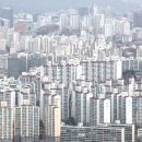 지난달 서울 아파트 거래 2200건 넘어…1년5개월 만에 최다/올해 거래된 서울 아파트 52%가 작년 4분기보다 올랐다 이미지