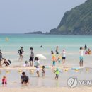 비양도모텔 이미지