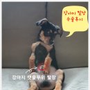 성지동물병원 이미지