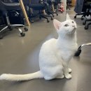 홍천 pc | 강원도 홍천 힐리언스 선마을 1박 2일 디지털 디톡스, 진정한 쉼 후기