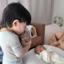 딸기어린이집_경계 | 19개월 아기, 45일 아기, 어린이집 적응 순항중, 친정다녀옴, 김덕규 과자점 두쫀쿠, 남천동 우나요시...