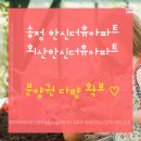 코리아공인중개사사무소 이미지