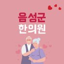음성군 디스크 추나요법 한의원 추천과 다이어트 한약 정보