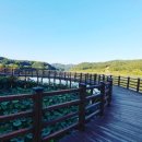 조치원수영장(화장실) 이미지